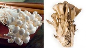 Enoki Mushrooms (left) and Maitake Mushrooms