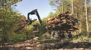 Ohio's forest cover has tripled over the last century and the state's forest products industry contributes $15 billion to the economy.