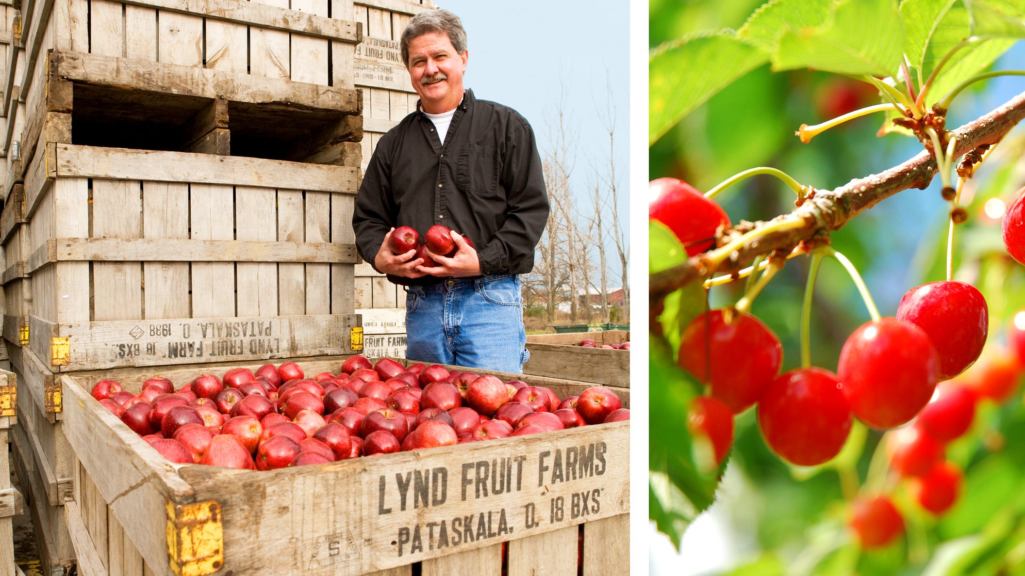 Give Fruit Trees a Try - Ohio Farm Bureau