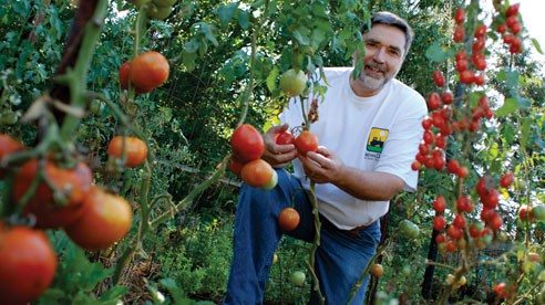 38 Best Images Backyard Fruit And Vegetable Garden / Bountiful Backyard Farms Ohio Farm Bureau