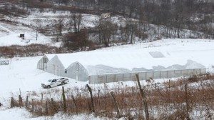 â€œWhile the Rondys know how to work with the cold during the winter growing season, it still exists as the farm’s biggest enemy.â€