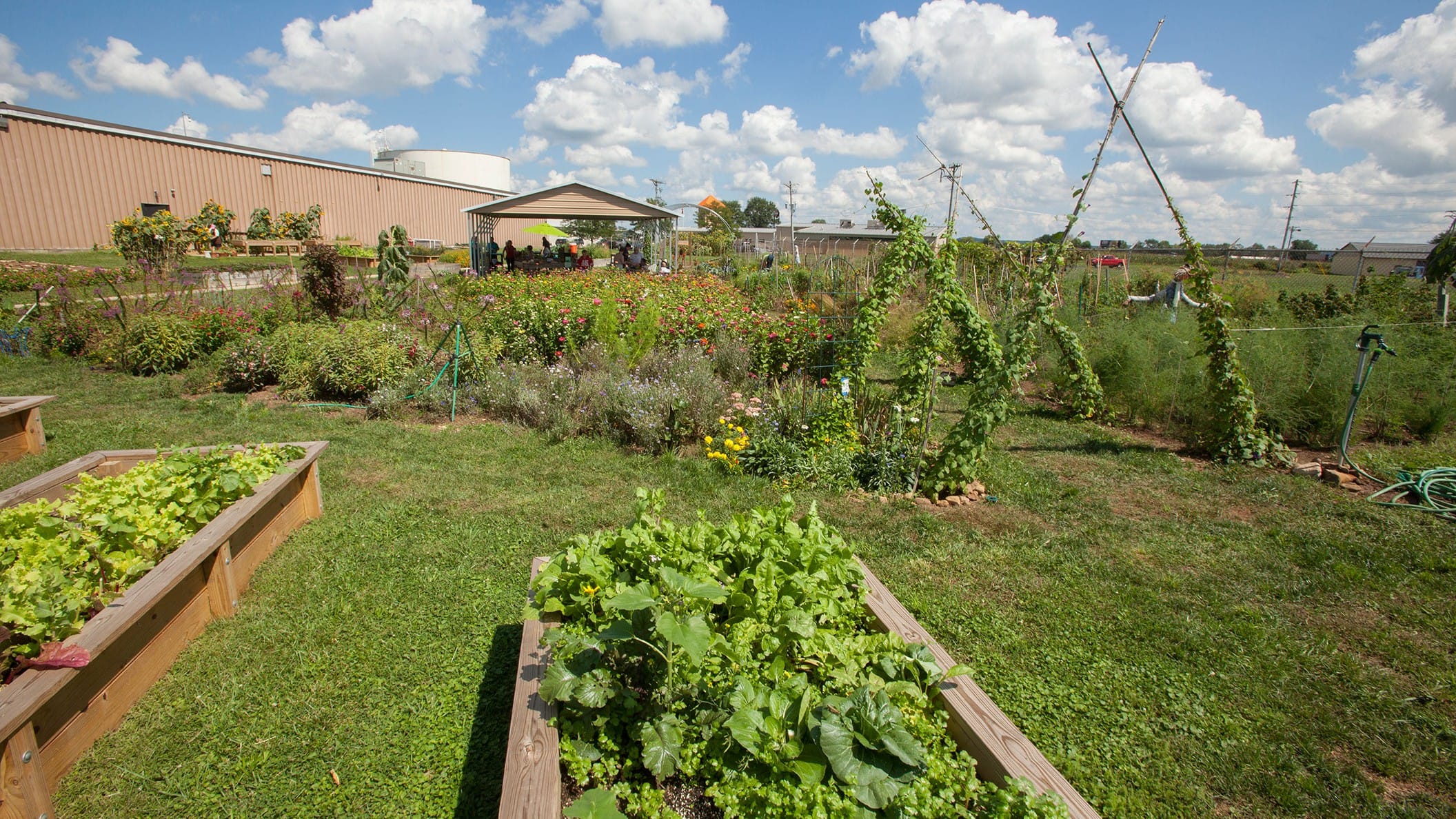 Fairfield County Farm Bureau