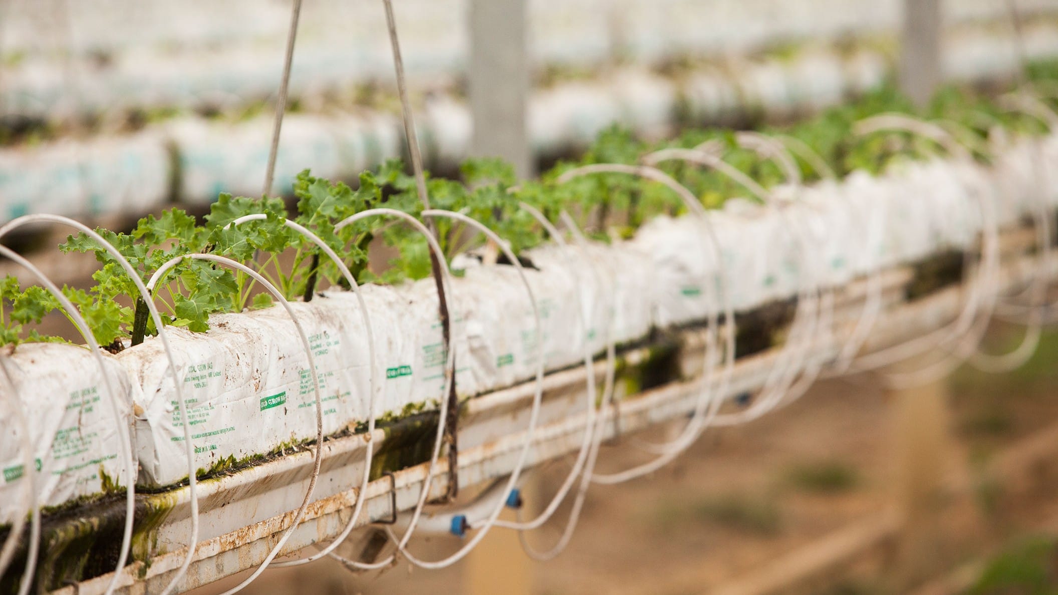 Hardin County Farm Bureau