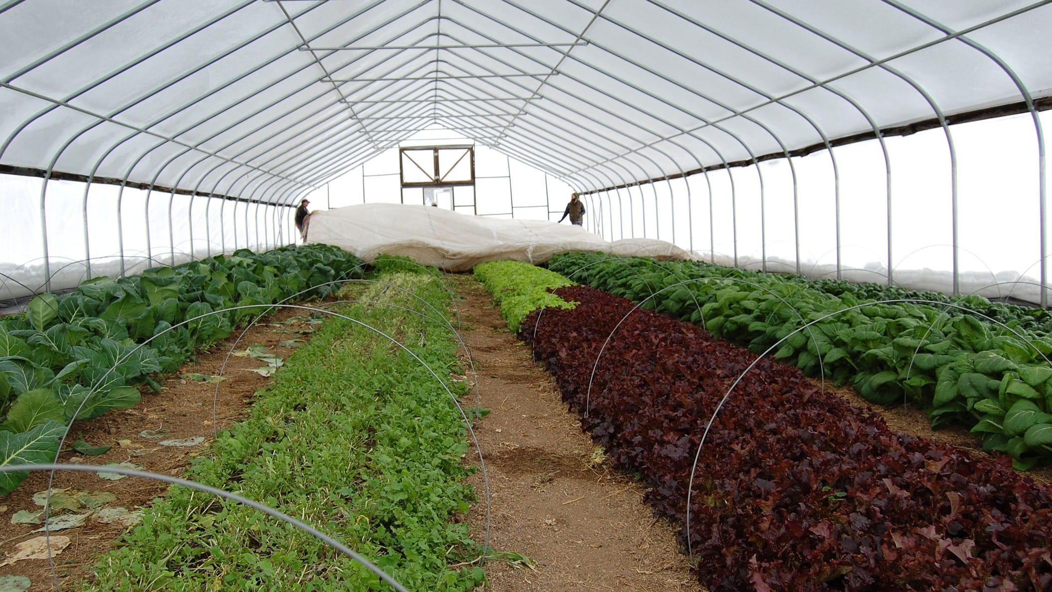 Lucas County Ohio Farm Bureau