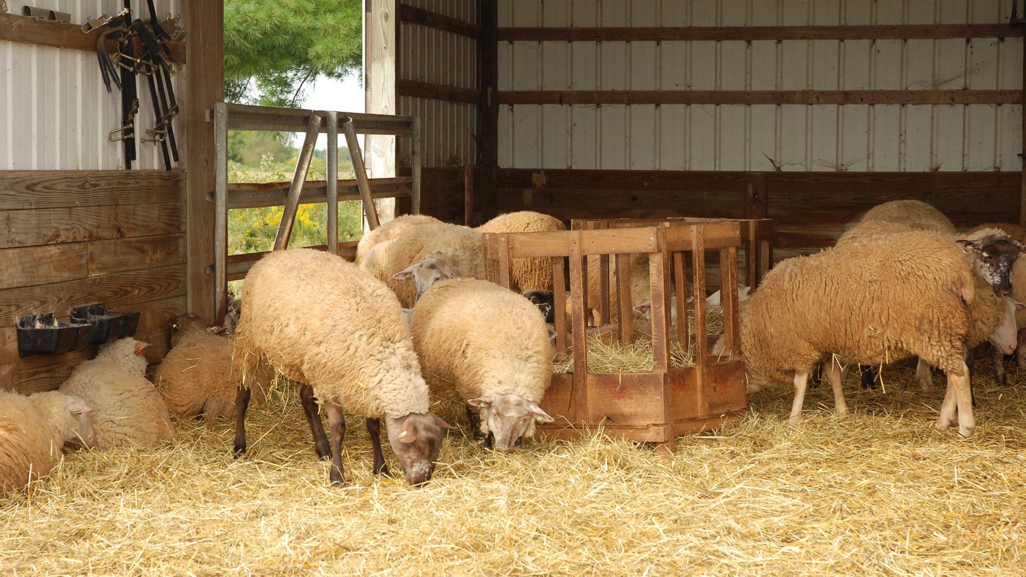 Morrow County Ohio Farm Bureau