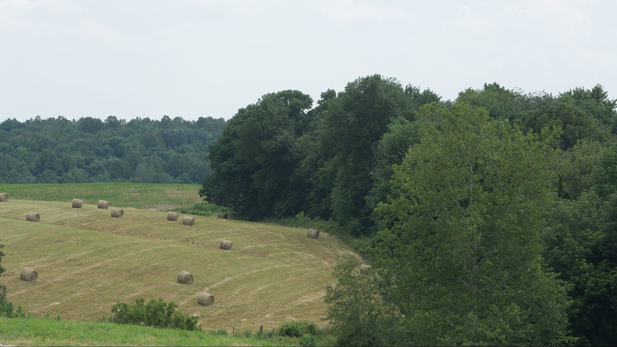 Scioto County Ohio Farm Bureau