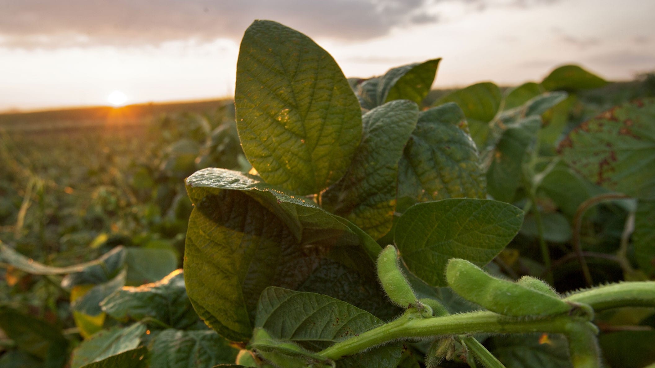 Seneca County Farm Bureau