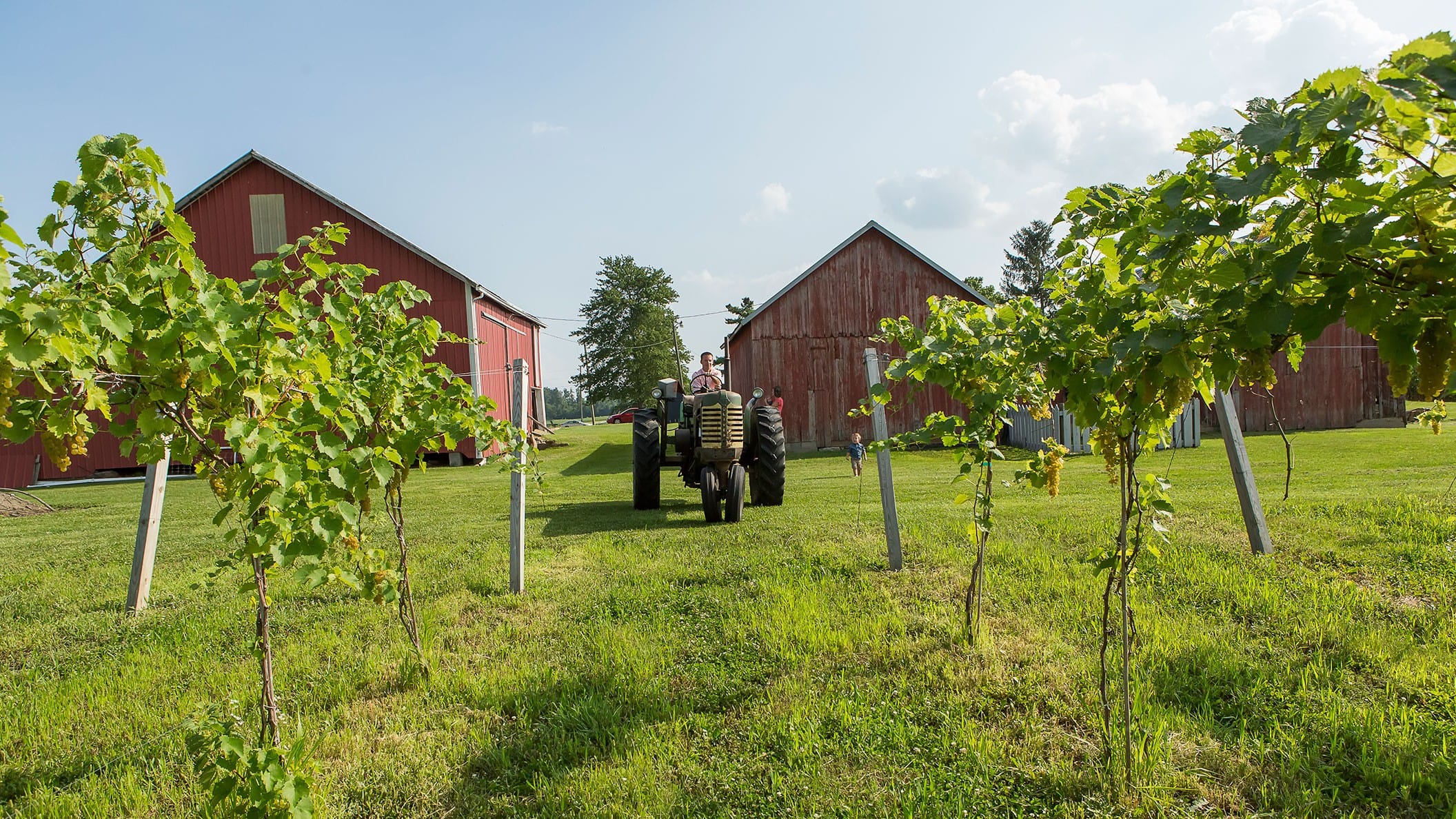 Shelby County Farm Bureau