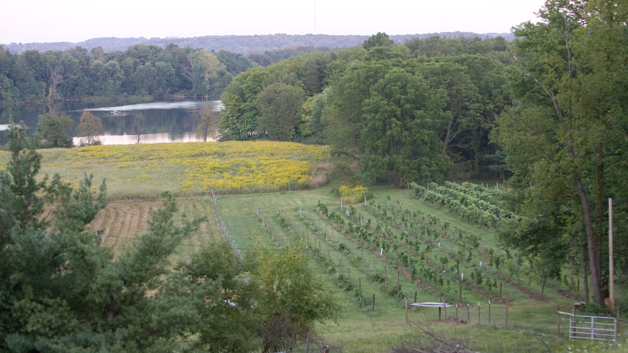 Summit County Farm Bureau