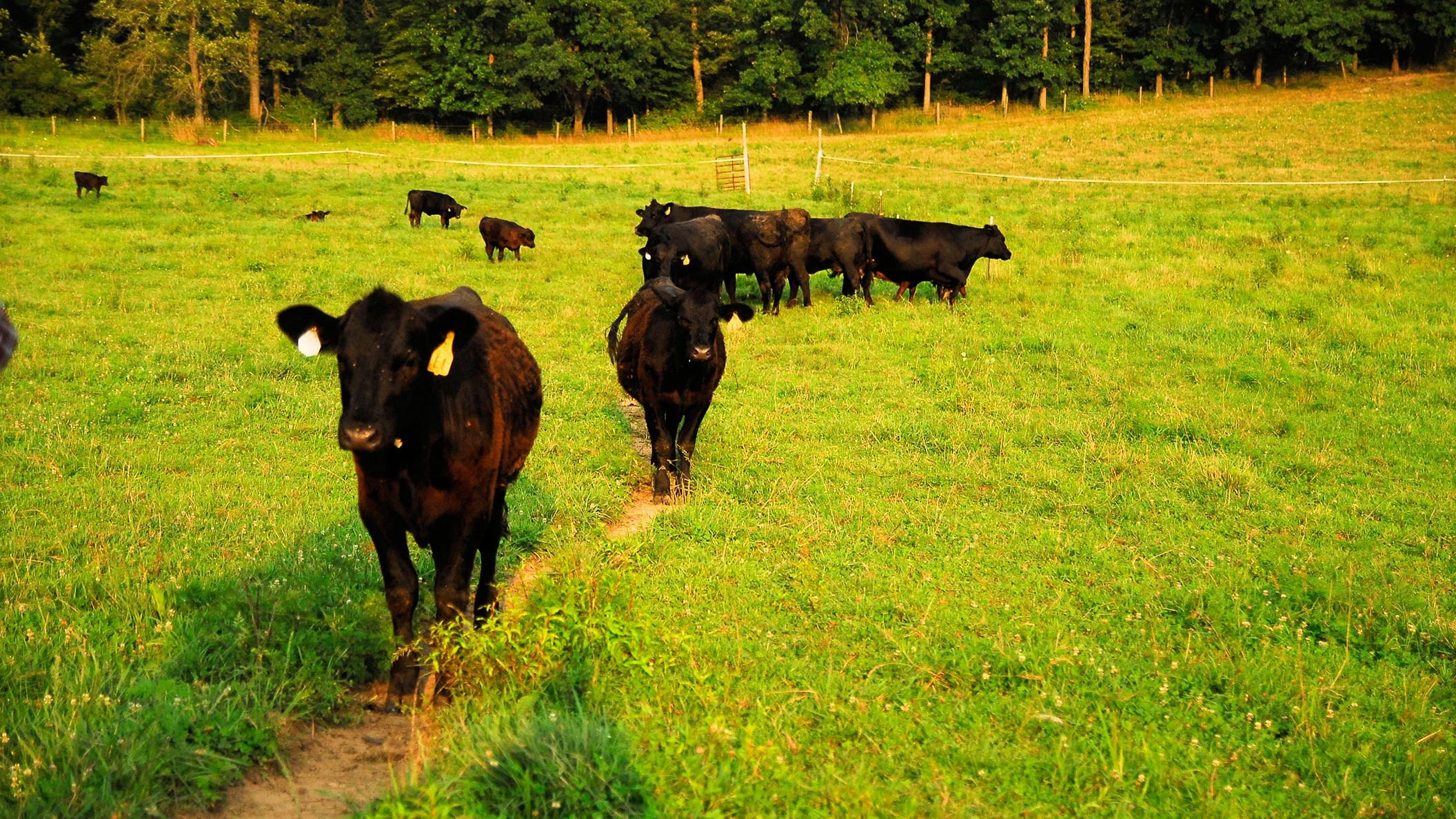 Tuscarawas County Farm Bureau