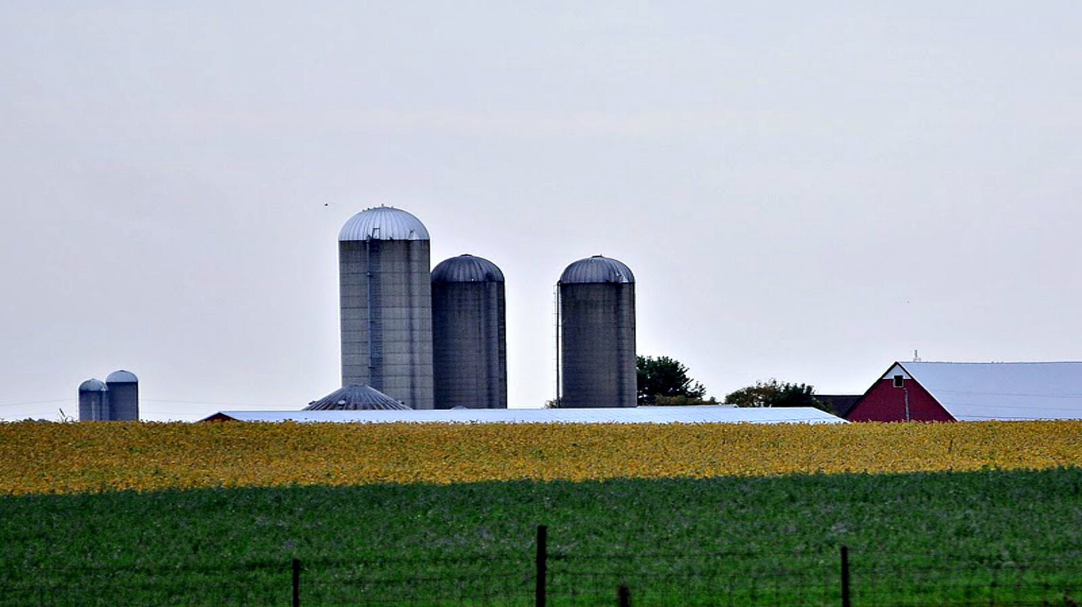 Help Us Shape Delaware Agriculture Ohio Farm Bureau