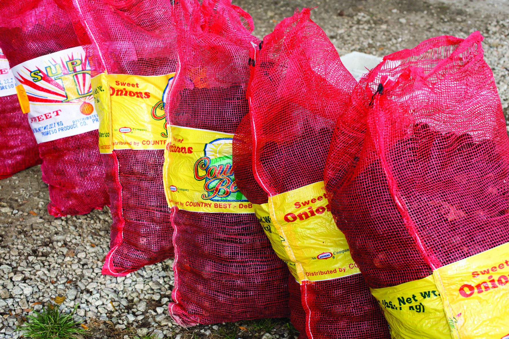 Going Nuts Nutsaplenty in central Ohio Ohio Farm Bureau