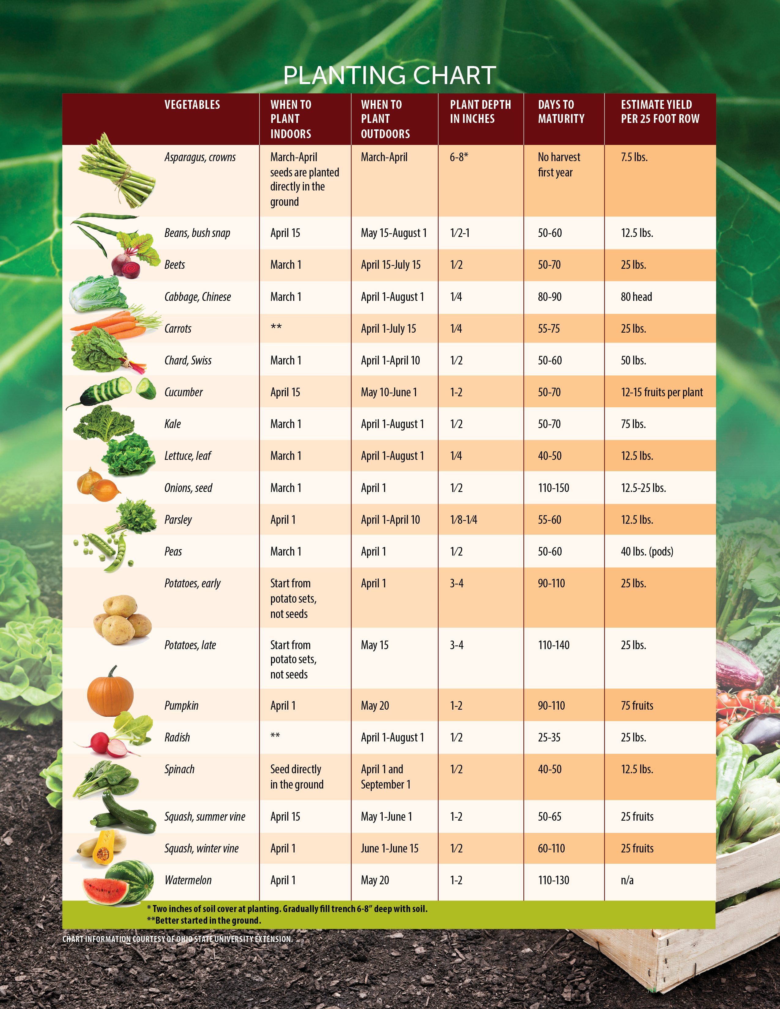 Sow What Helpful Tips On When To Start Planting Seeds In Ohio For The 