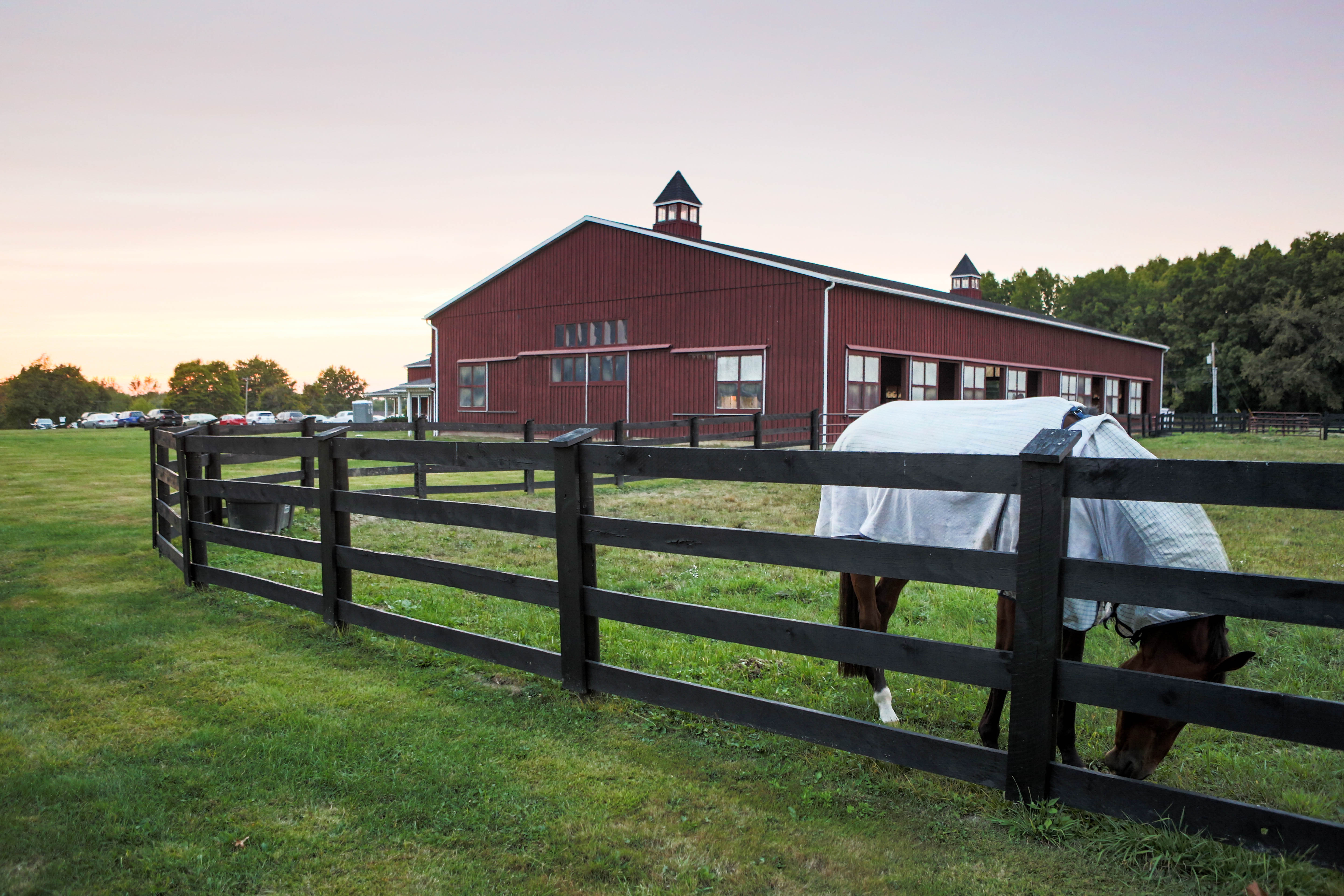 miamitown pet hospital