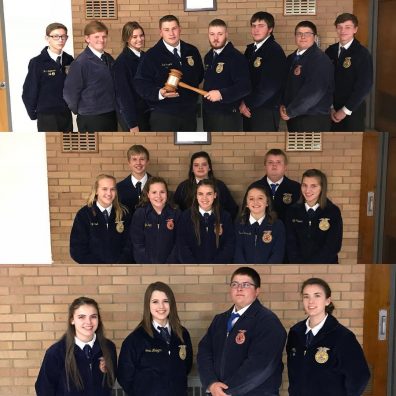 Northwestern FFA Advanced Parliamentary Procedure Team (top), Novice Parliamentary Procdure Team (middle), and Job Interview Participants (bottom) are pictured in the collage