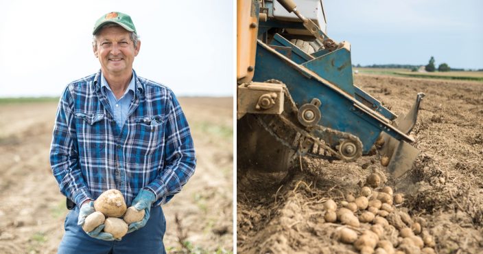 Pick Your Chip — How Ohioans Choose Their Favorite Potato Chip - Ohio ...