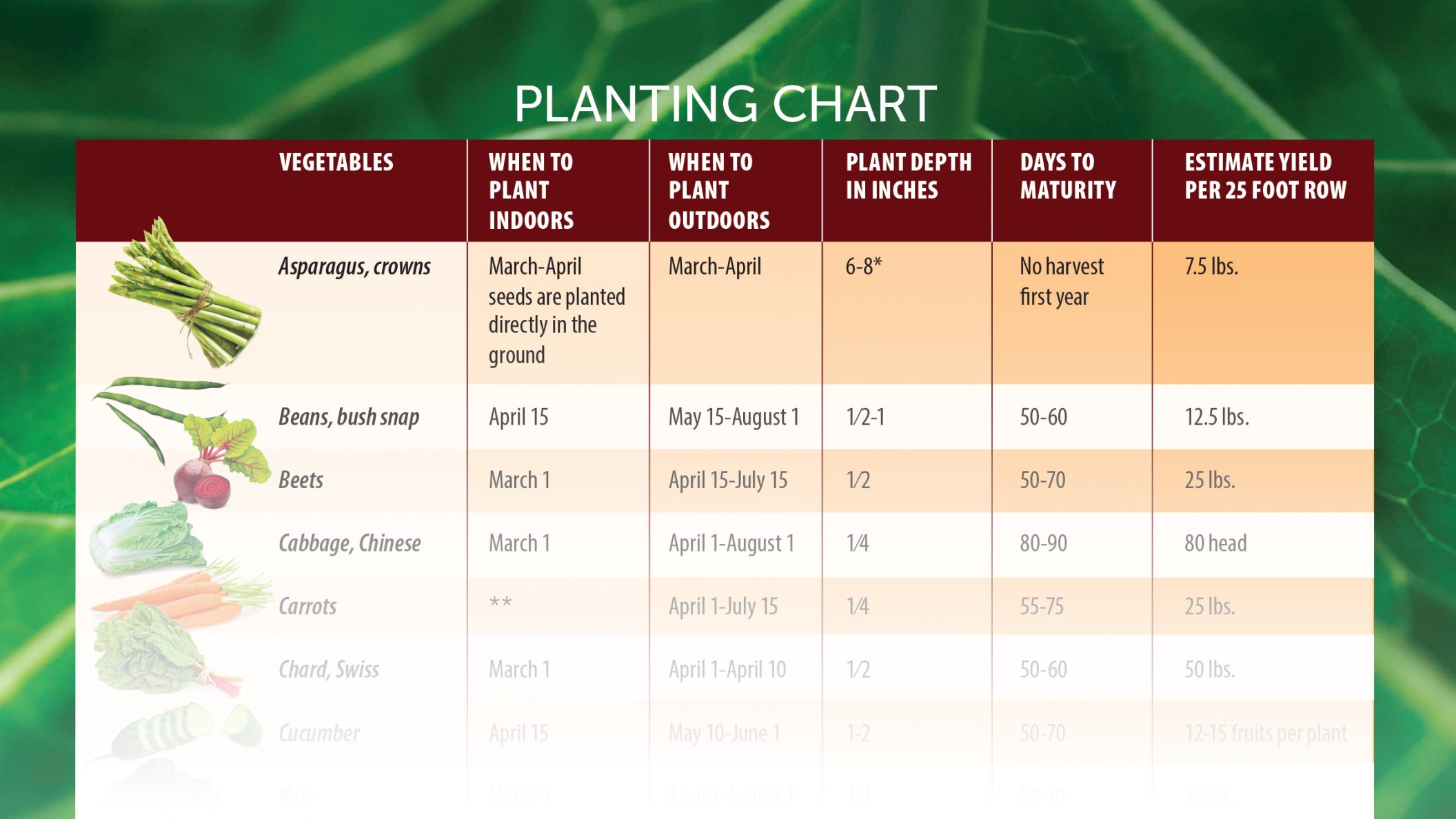 Seed Planting Chart