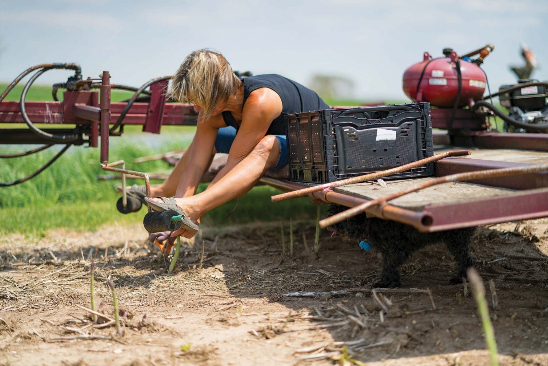 Asparagus lady takes a bow Ohio Farm Bureau