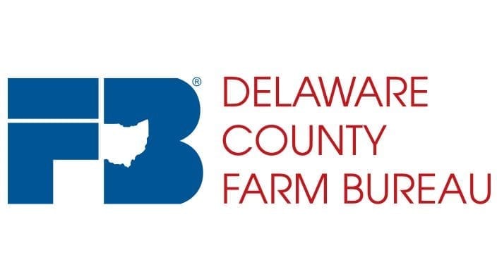 delaware county ohio business license