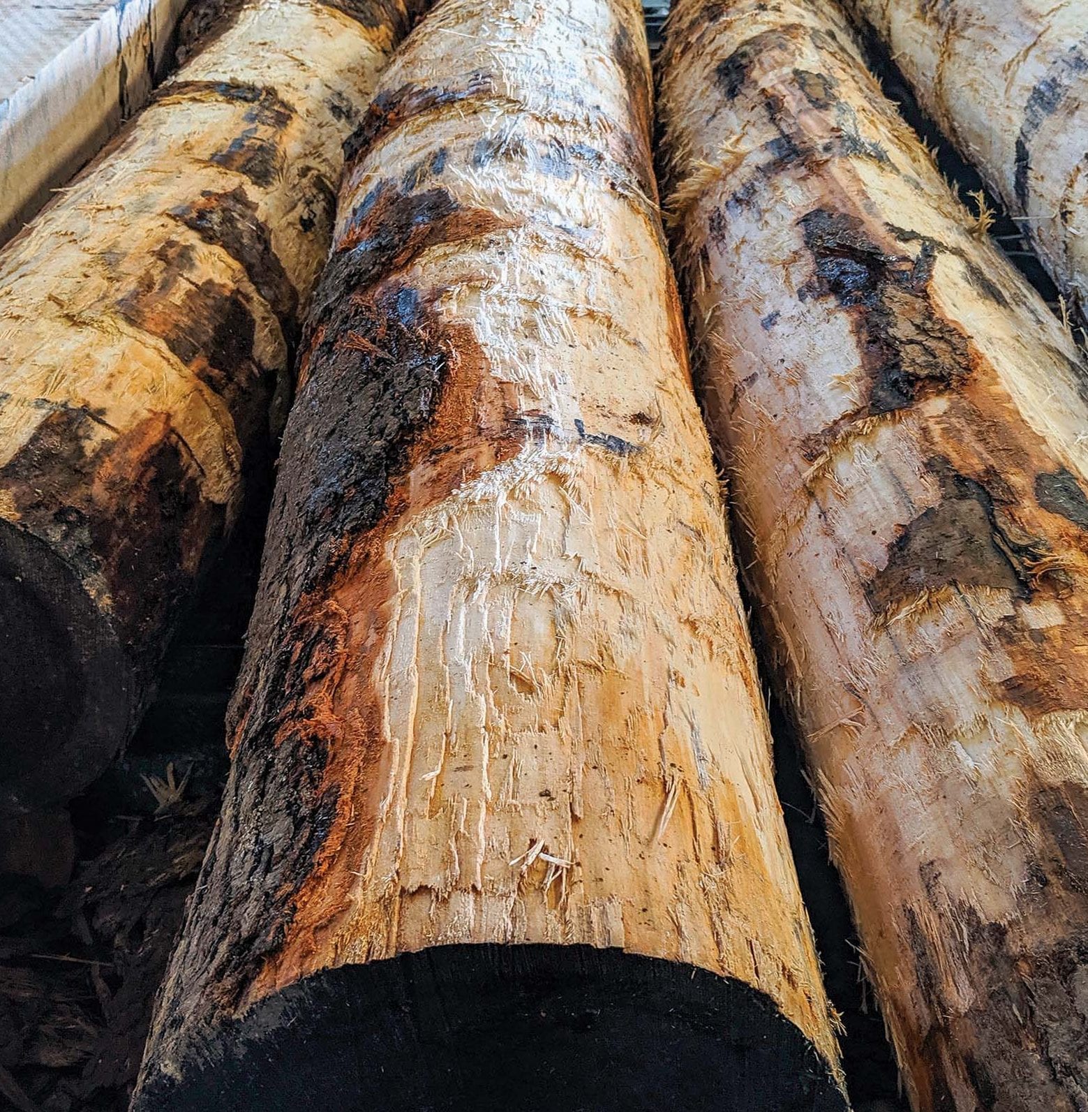 2019 OFBF Board trip to Marietta Ohio - Haessly Hardwood Lumber Company