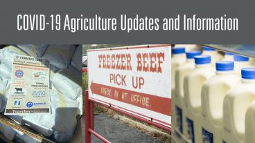 1074x604_COVID-19 Information Graphic