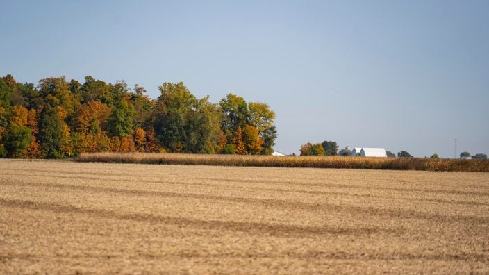 2020 Fall harvest Ohio