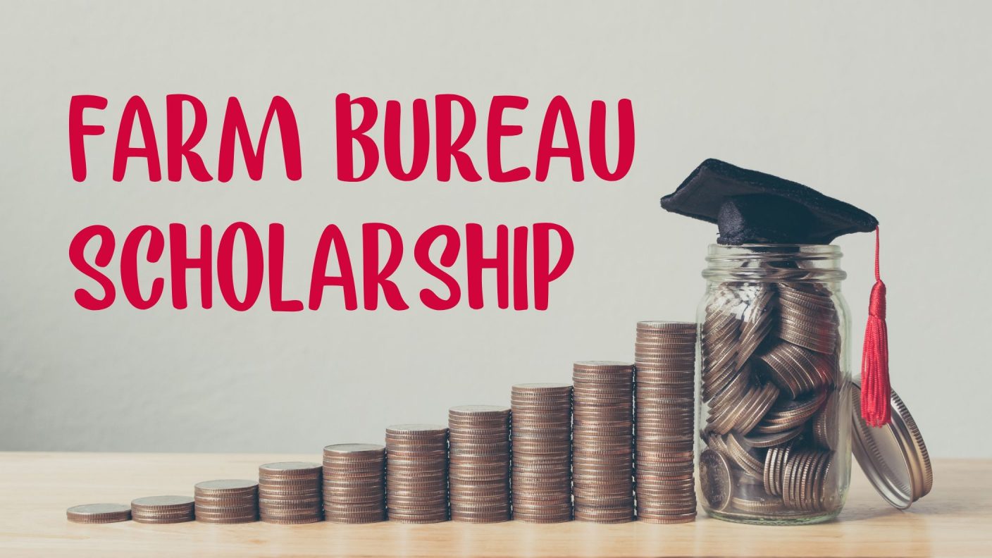 State Farm Scholarship2