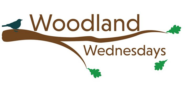 Woodland Wednesdays