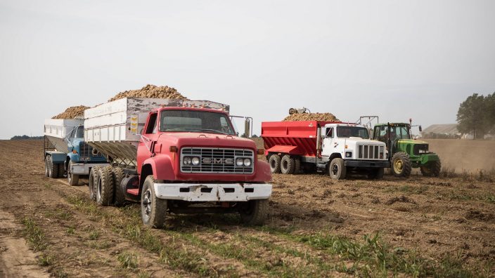 trucks in Ohio hauling potatoes
