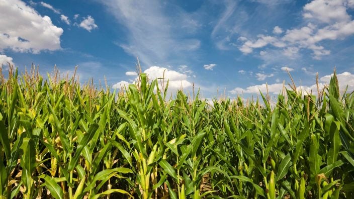 Ohio Farm Bureau to EPA: Rethink RFS proposals