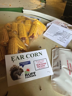 Ruff ear corn