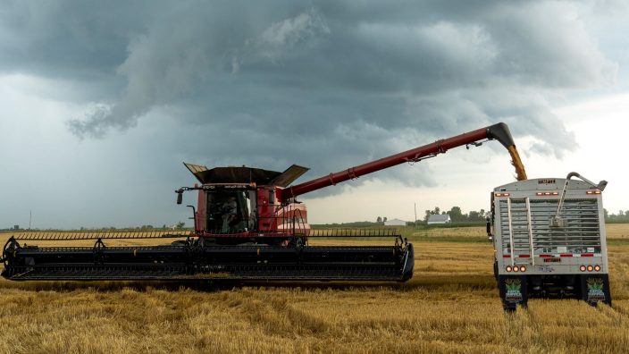 Ross County Ohio wheat harvest