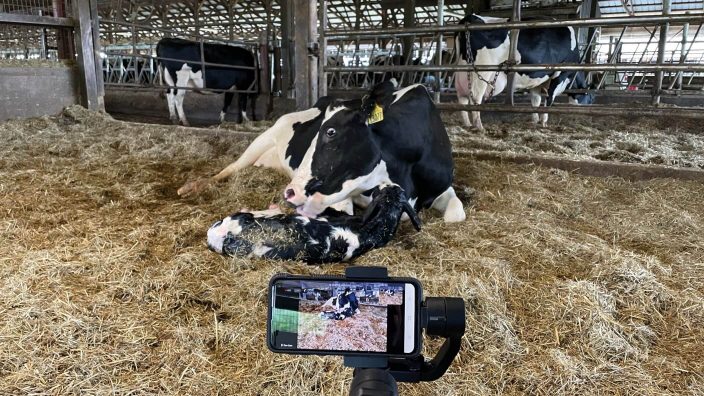 Shiftology Virtual Dairy Farm Tour