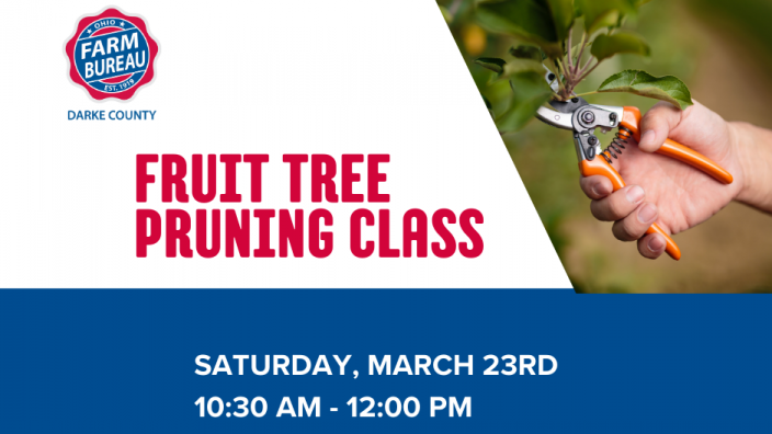 Fruit tree pruning class