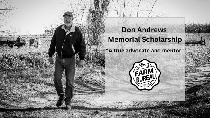Don Andrews Memorial Scholarship