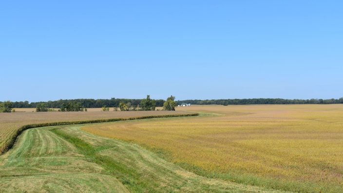 Midwest Ohio farmland