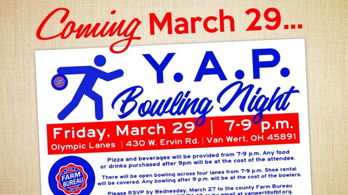 YAP Bowling Night March 29