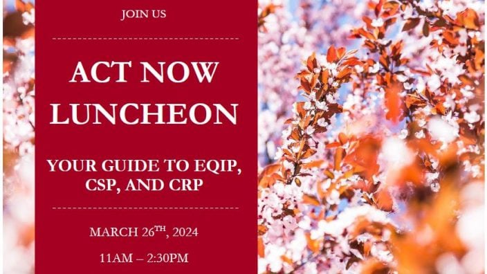 Act Now Luncheon March 26