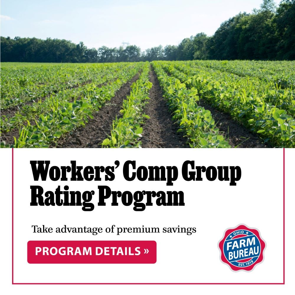 Workers Comp Group Rating