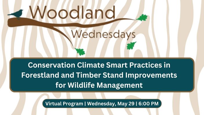 Woodland Wednesdays: Forestland and Timber Stand Improvements for Wildlife Management