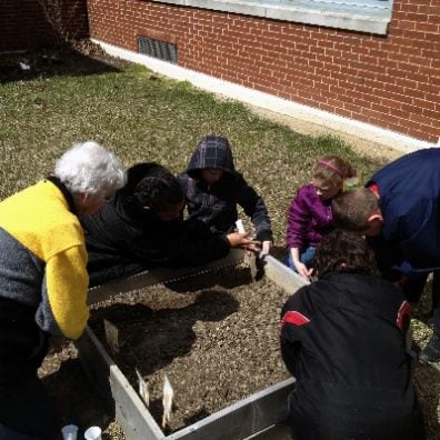 Shelby County School Garden