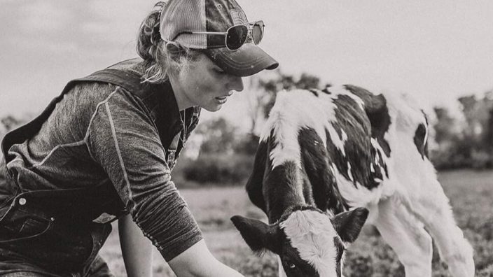woman hand feeding a cow