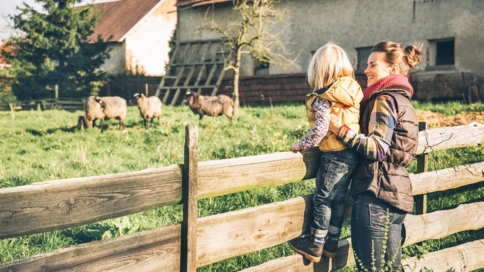 Ohio Farm Bureau Health Plans