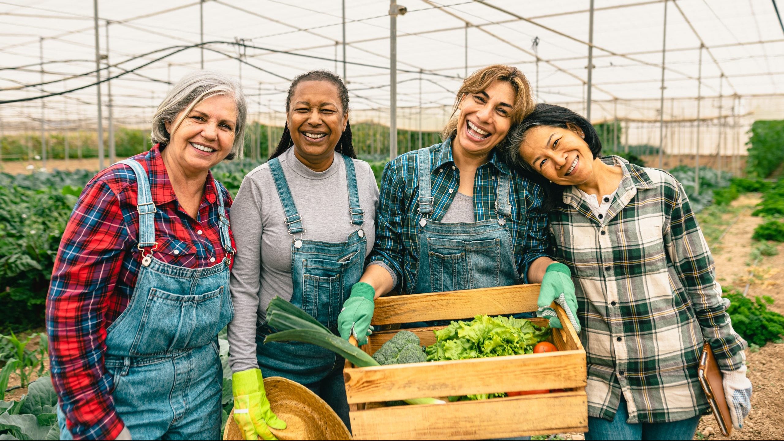 Ohio Farm Bureau Health Benefits Plan