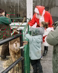 Seneca County Reindeer Experience