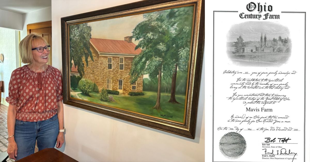 Barbara Campbell, Mavis Farm