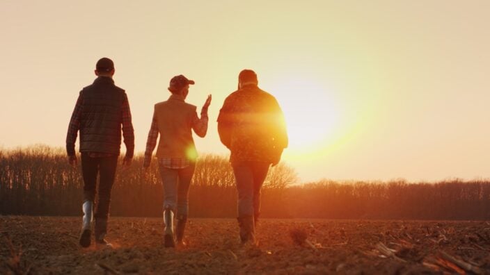 People in field stock photo