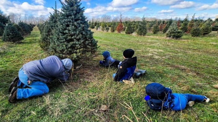 A family cuts down a tree at Bedford Falls Christmas Tree Farm